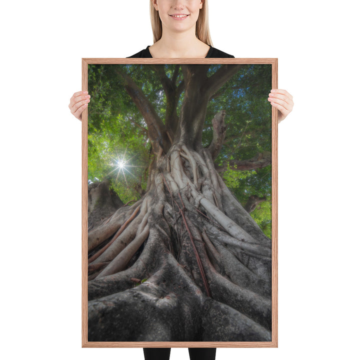 Tree of Hope Framed Matte
