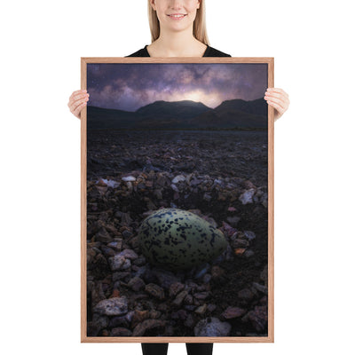 Alvord Avocet Egg Framed Matte