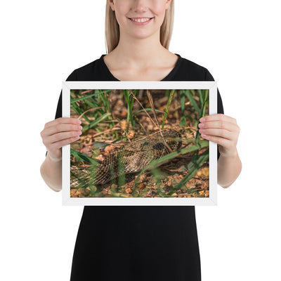 Caprock Canyons Rattlesnake Framed Matte