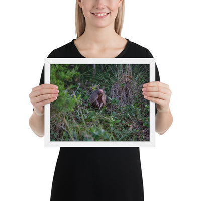 Hill Country Armadillo Framed Matte
