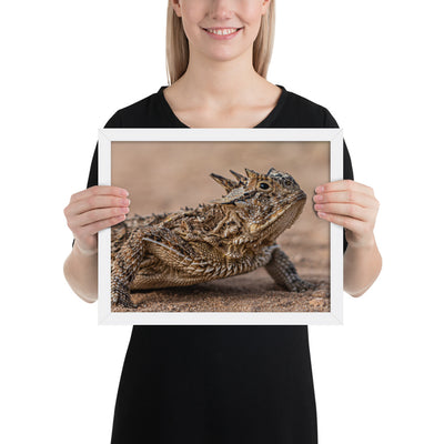 Texas Horned Lizard Framed Matte