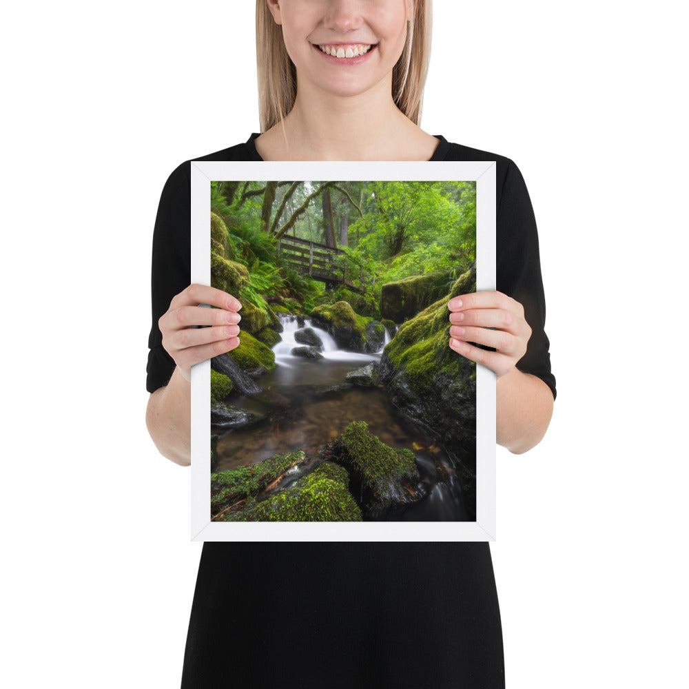 Oregon Fairy Garden Framed Matte