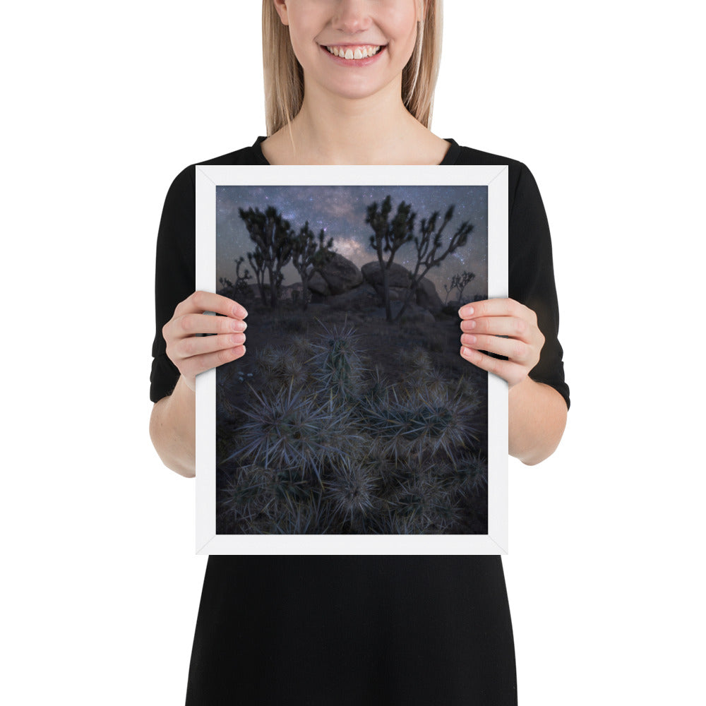 Joshua Tree Night Framed Matte