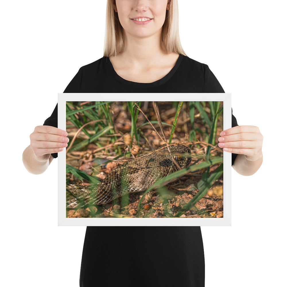 Caprock Canyons Rattlesnake Framed Matte
