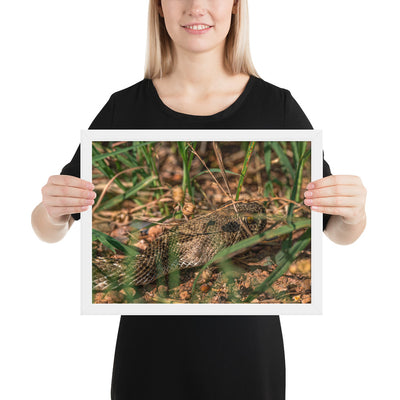 Caprock Canyons Rattlesnake Framed Matte