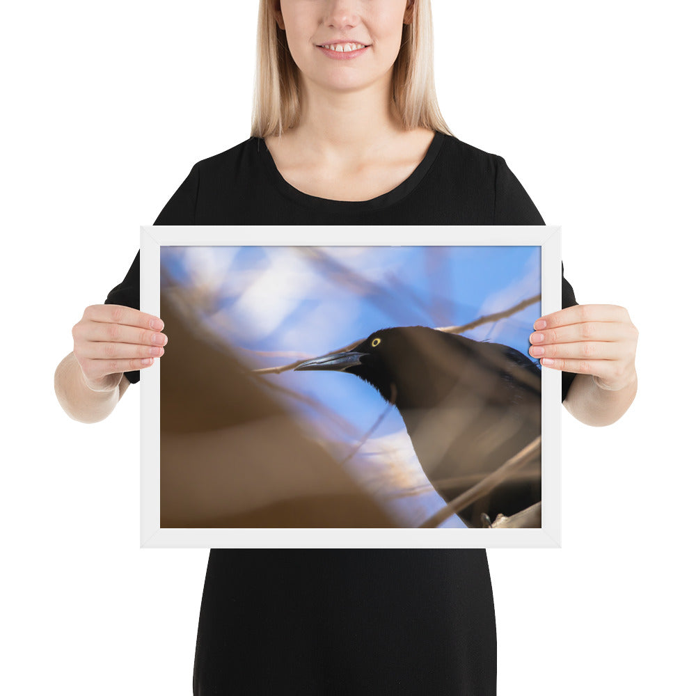 Perched Grackle Framed Matte