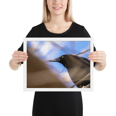 Perched Grackle Framed Matte