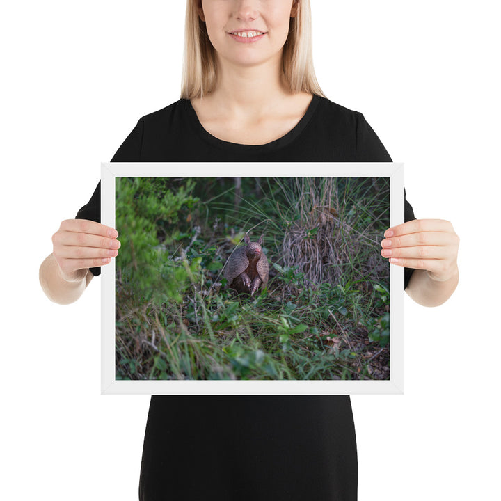 Hill Country Armadillo Framed Matte