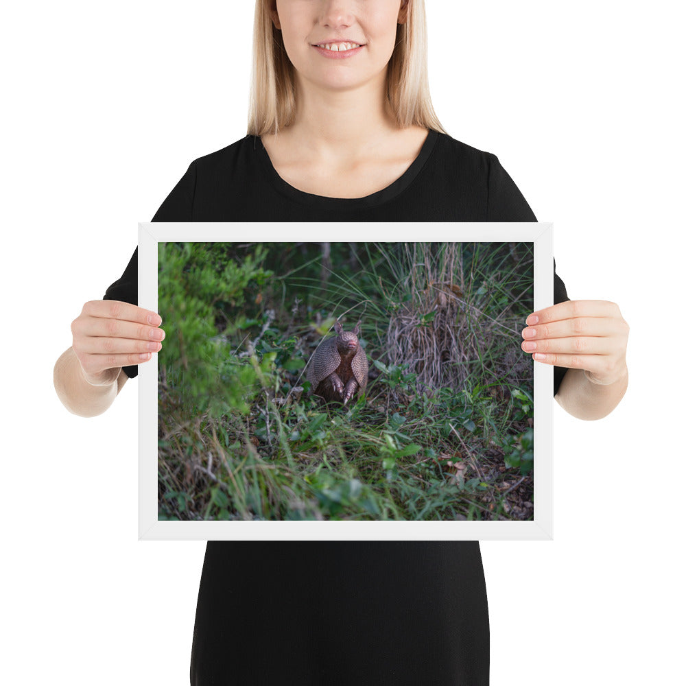 Hill Country Armadillo Framed Matte