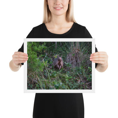 Hill Country Armadillo Framed Matte