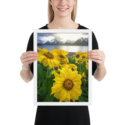 Grand Teton Wildflowers Framed Matte