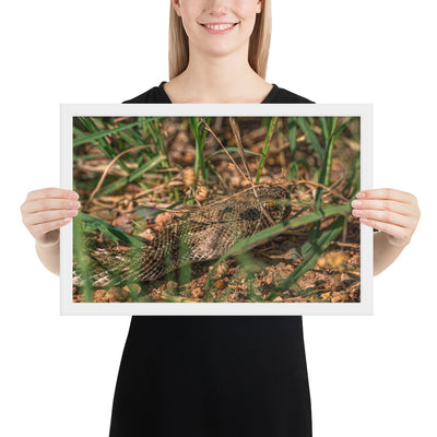 Caprock Canyons Rattlesnake Framed Matte