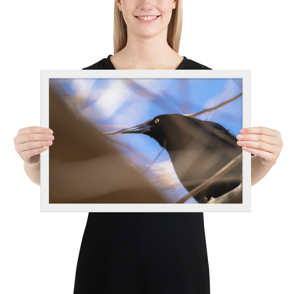 Perched Grackle Framed Matte