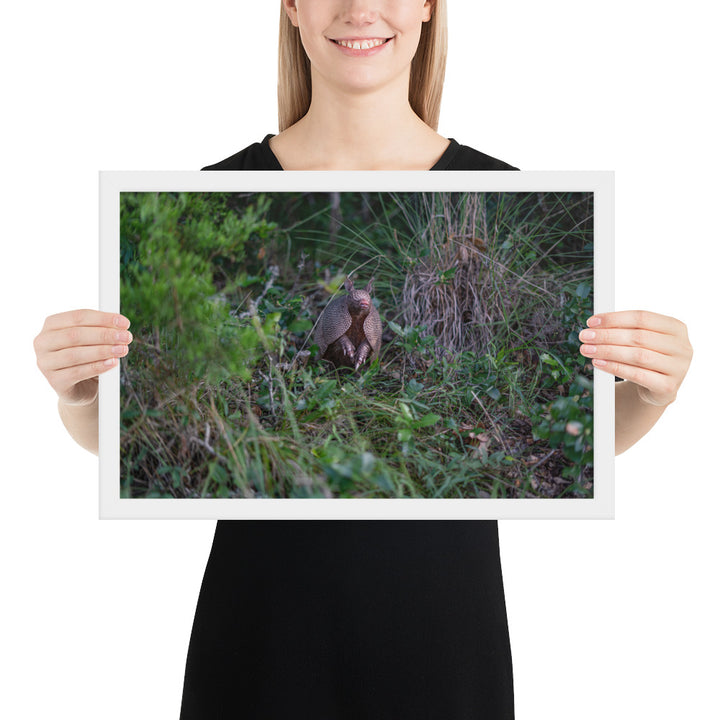 Hill Country Armadillo Framed Matte