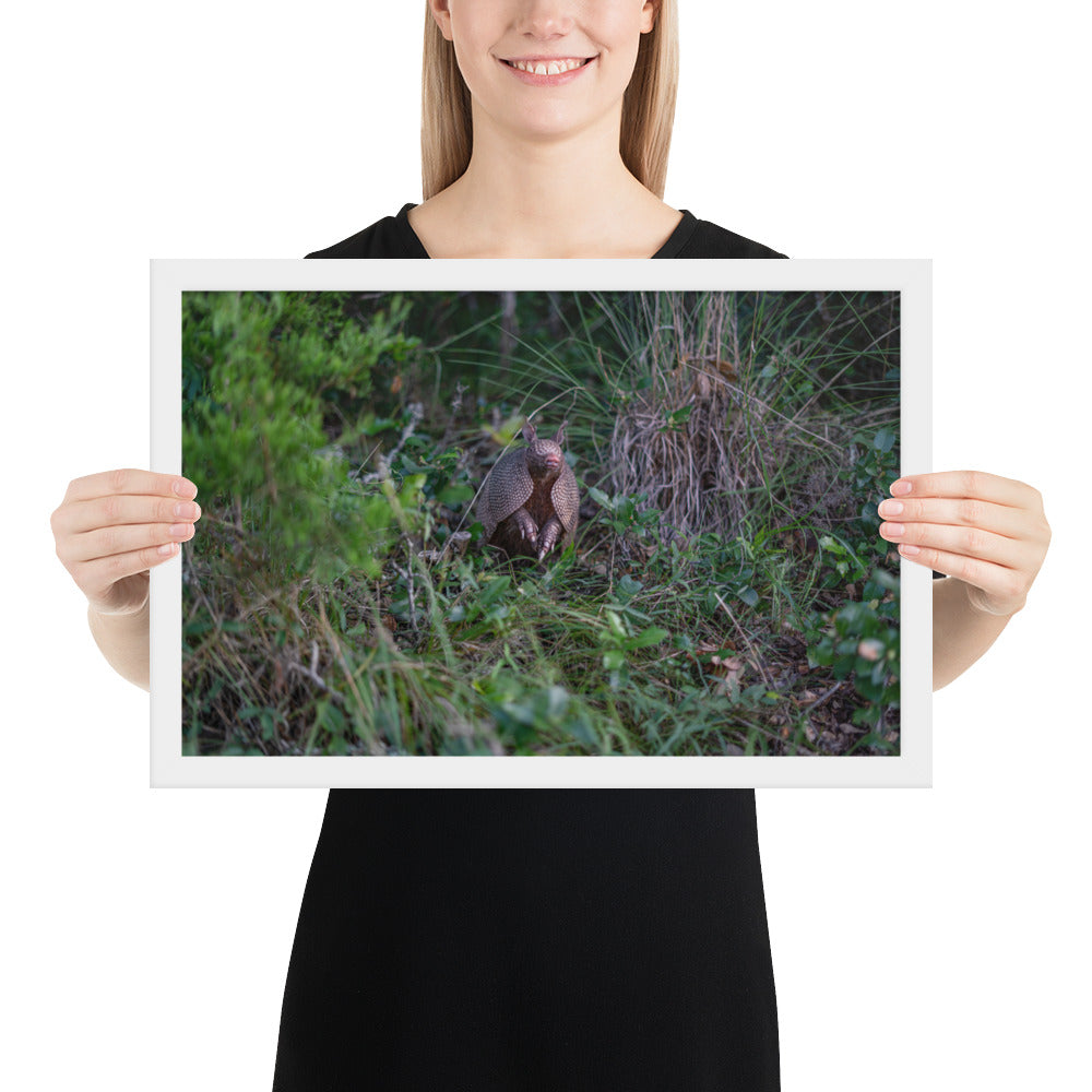 Hill Country Armadillo Framed Matte