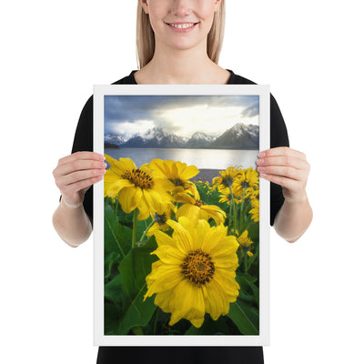 Grand Teton Wildflowers Framed Matte