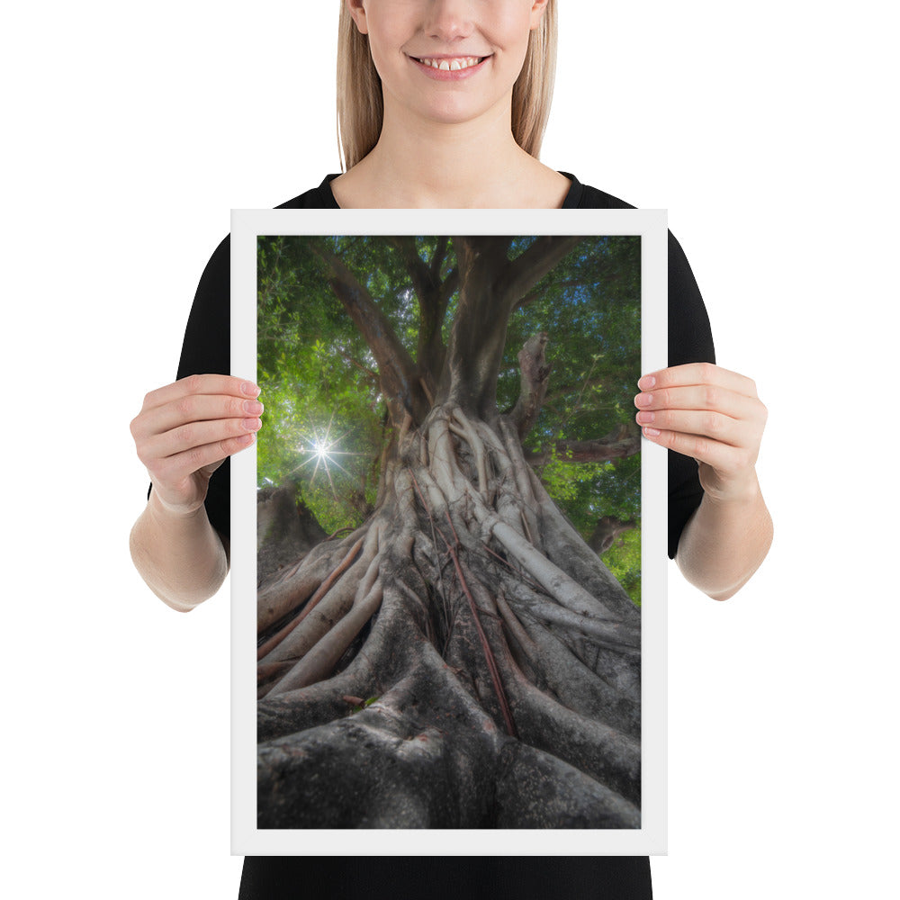 Tree of Hope Framed Matte