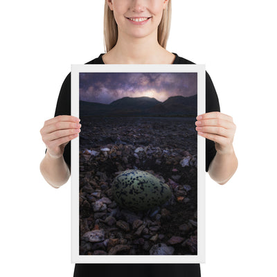 Alvord Avocet Egg Framed Matte