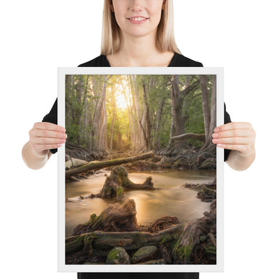 Cibolo Creek Sunset Framed Matte