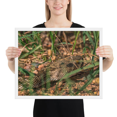Caprock Canyons Rattlesnake Framed Matte