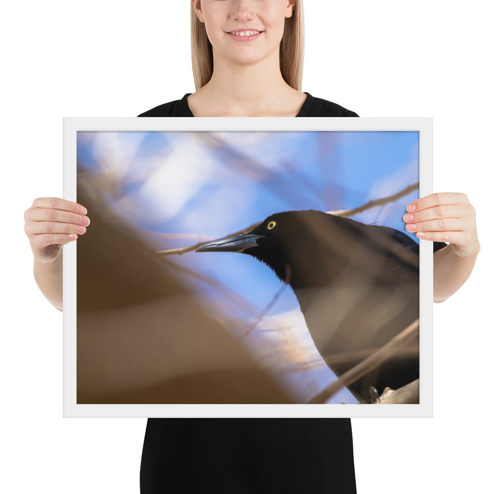 Perched Grackle Framed Matte