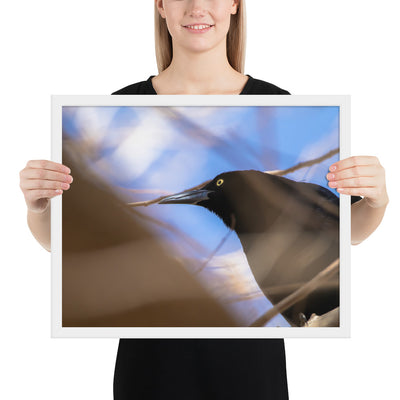 Perched Grackle Framed Matte
