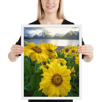 Grand Teton Wildflowers Framed Matte