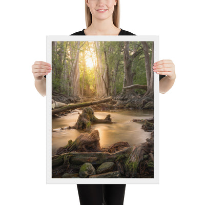 Cibolo Creek Sunset Framed Matte