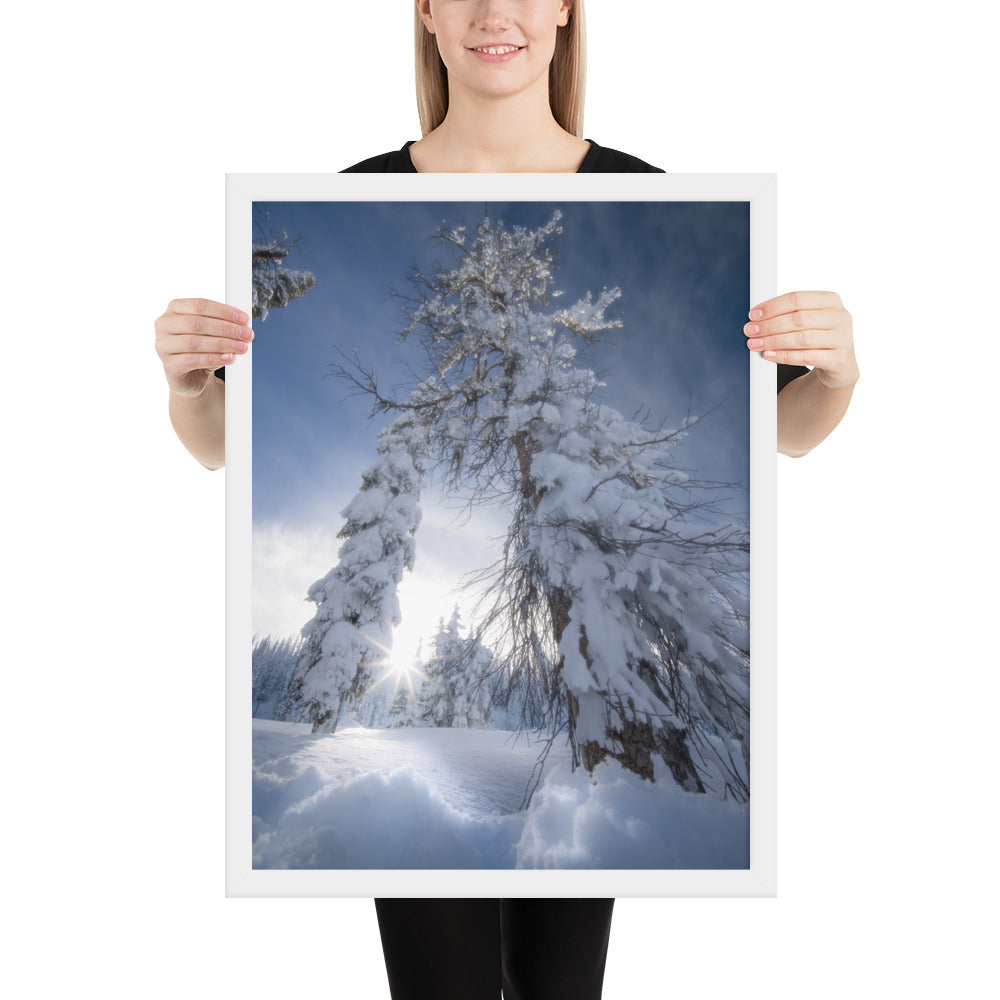 Pagosa Springs Backcountry Framed Matte
