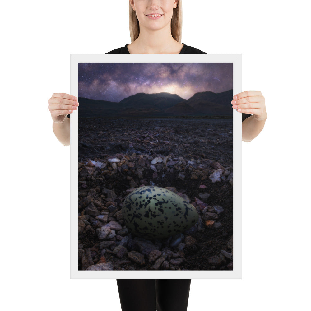 Alvord Avocet Egg Framed Matte