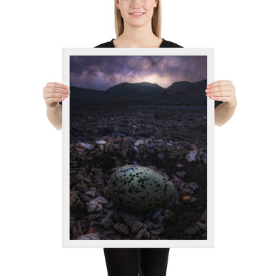 Alvord Avocet Egg Framed Matte