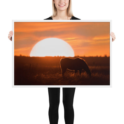 Llano Estacado Horse Framed Matte