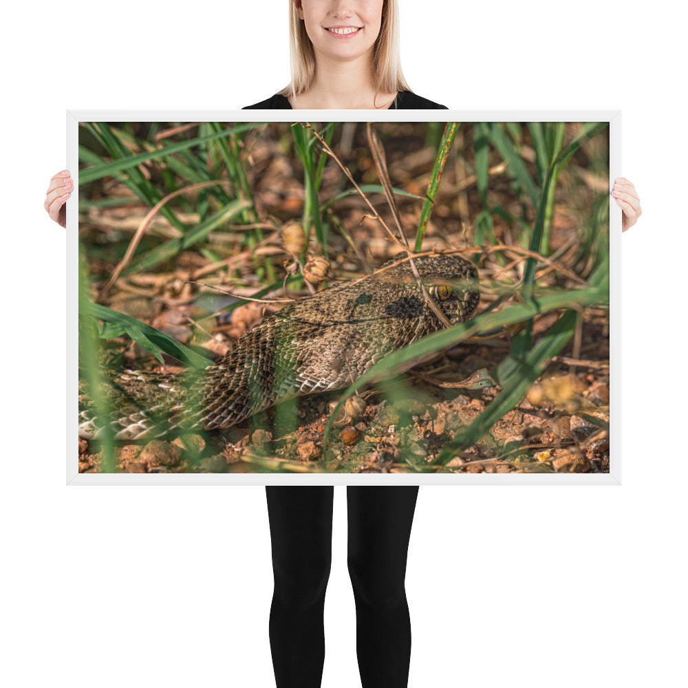 Caprock Canyons Rattlesnake Framed Matte