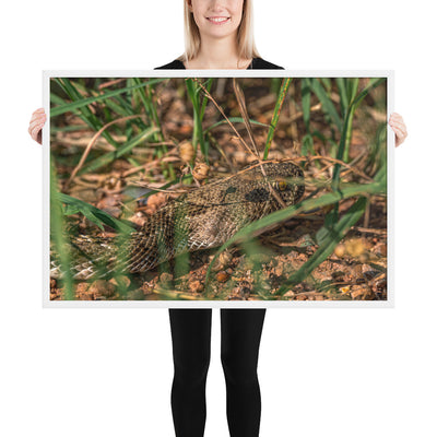 Caprock Canyons Rattlesnake Framed Matte