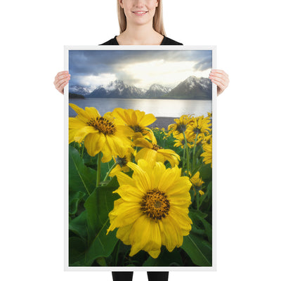 Grand Teton Wildflowers Framed Matte