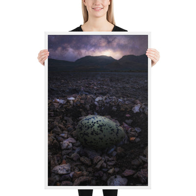 Alvord Avocet Egg Framed Matte