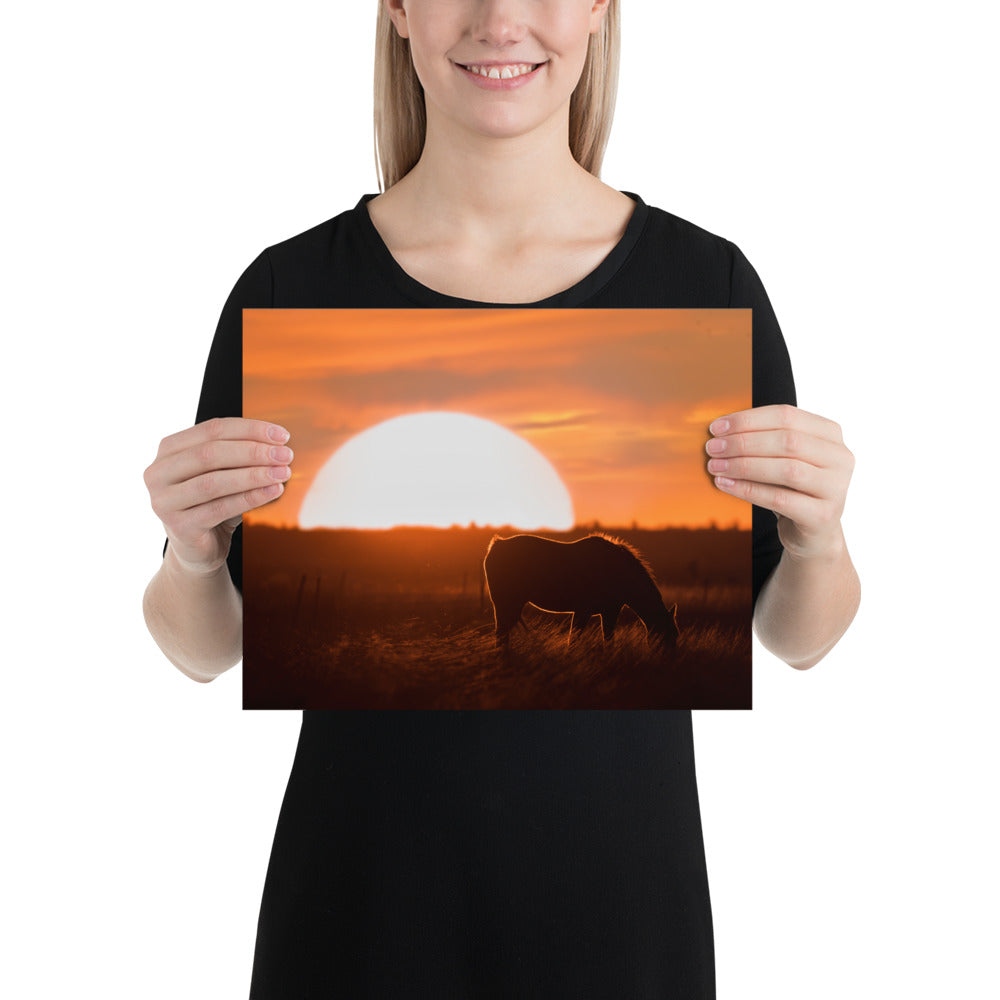 Llano Estacado Horse Matte