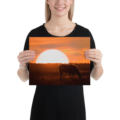 Llano Estacado Horse Matte