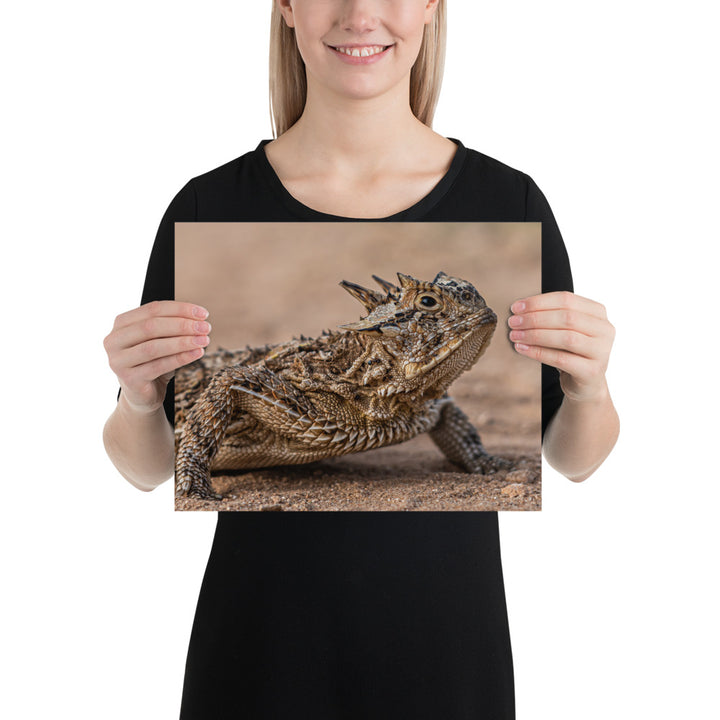 Texas Horned Lizard Matte