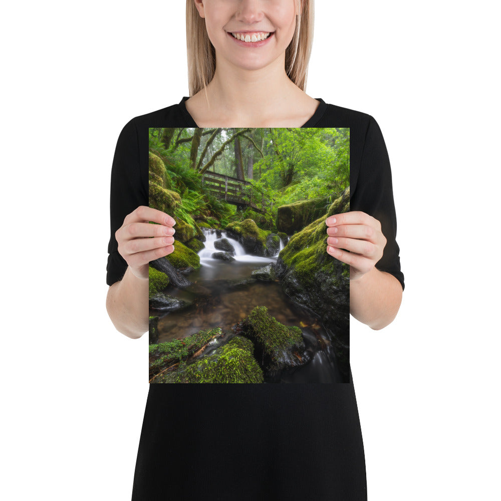 Oregon Fairy Garden Matte