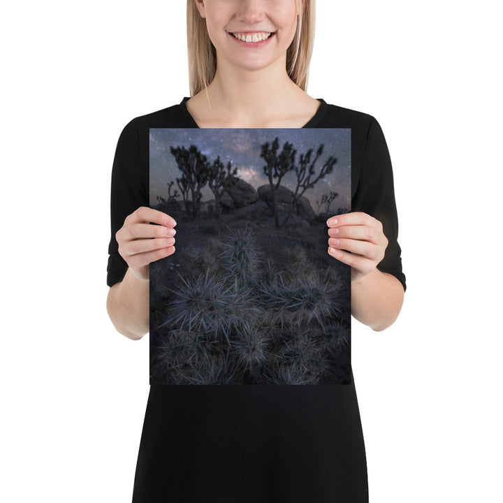 Joshua Tree Night Matte