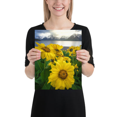 Grand Teton Wildflowers Matte