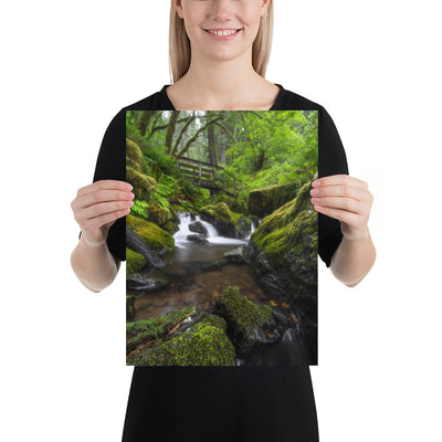 Oregon Fairy Garden Matte