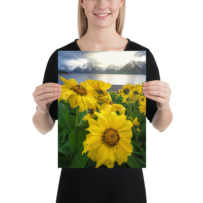 Grand Teton Wildflowers Matte