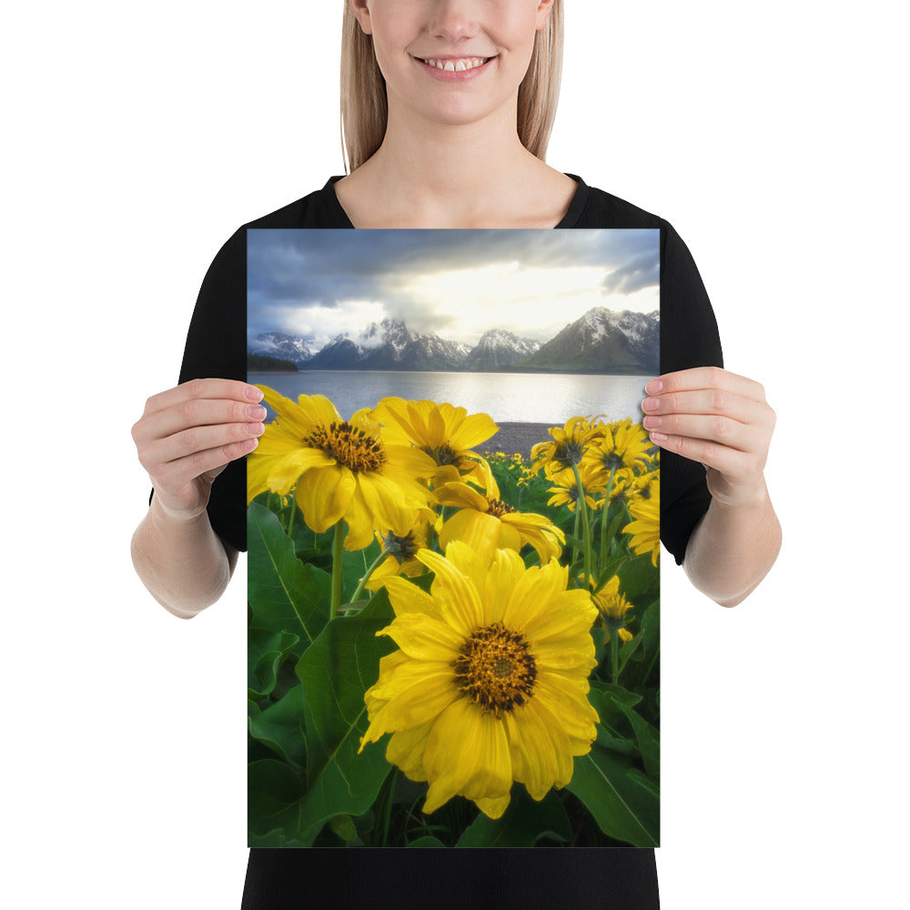 Grand Teton Wildflowers Matte
