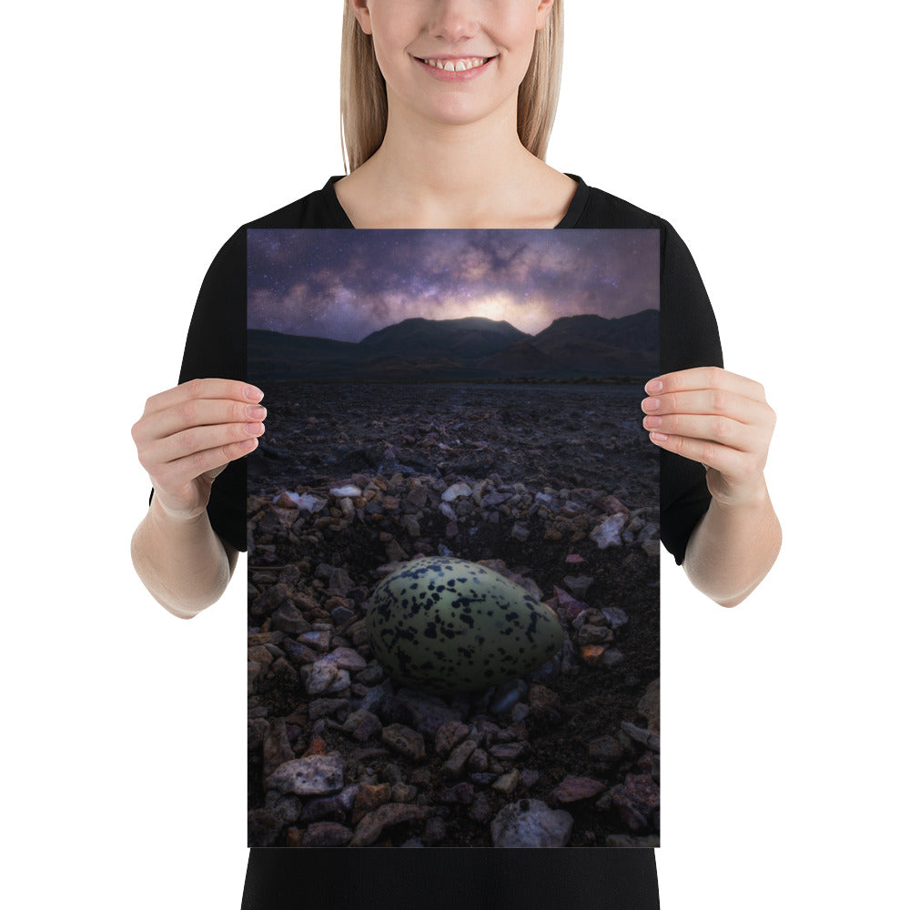 Alvord Avocet Egg Matte