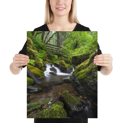 Oregon Fairy Garden Matte