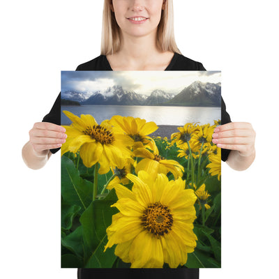 Grand Teton Wildflowers Matte