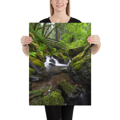 Oregon Fairy Garden Matte