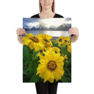 Grand Teton Wildflowers Matte